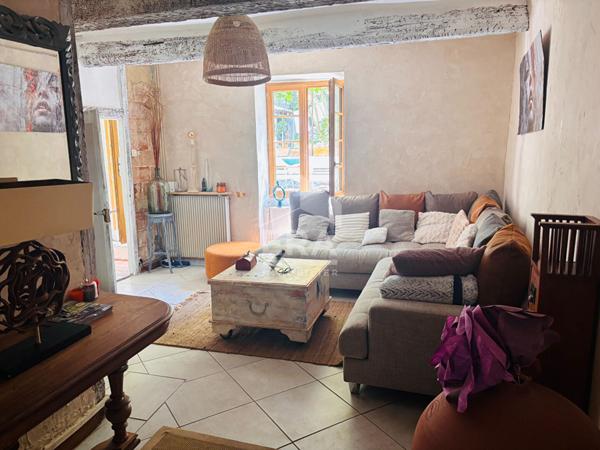 Maison d'exception avec jardin exotique face à la Cité de Carcassonne