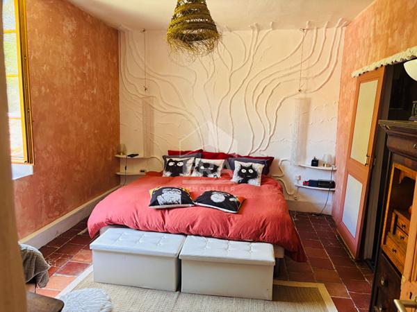 Maison d'exception avec jardin exotique face à la Cité de Carcassonne