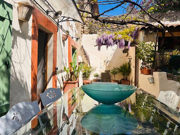 Maison d'exception avec jardin exotique face à la Cité de Carcassonne