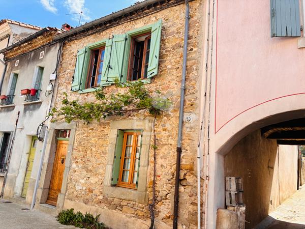 Maison d'exception avec jardin exotique face à la Cité de Carcassonne