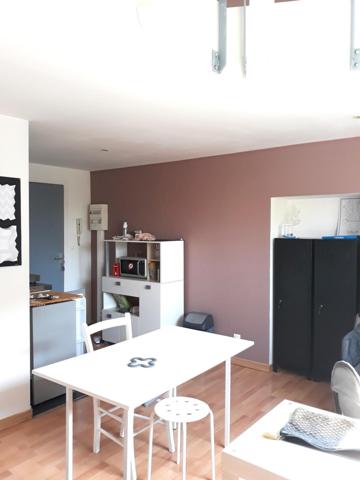 Appartement lumineux avec chambre en mezzanine
