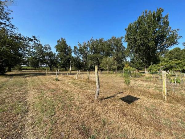 Achat - Maison | Maison rurale Onesse-Laharie 40110 4 pièces 99 m 2 12258 m 2
