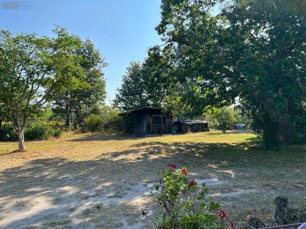 Achat - Maison | Maison rurale Onesse-Laharie 40110 4 pièces 99 m 2 12258 m 2