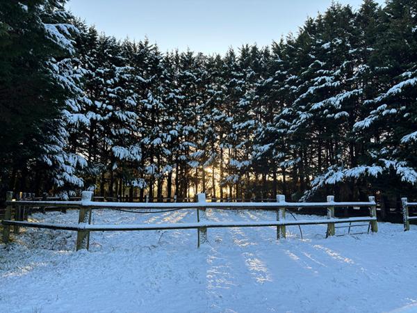 Propriété equestre Nozay