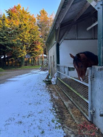 Propriété equestre Nozay