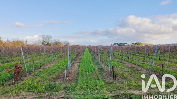 Terrain à vendre 90 000 m² Saint-Laurent-d'Aigouze
