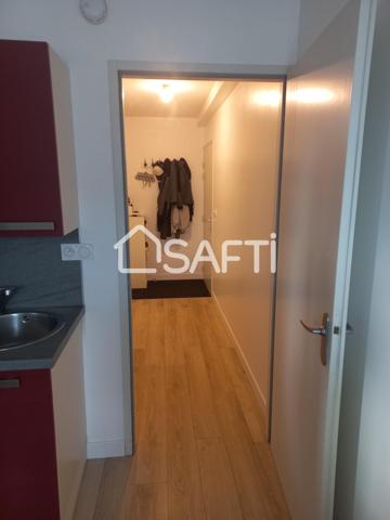 Bel appartement de 49m² très lumineux: PERIGNY !