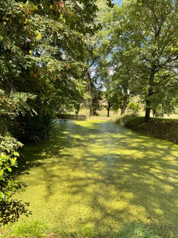 Maison bourgeoise à 20 mn d'Auch 315 m2, 6ha