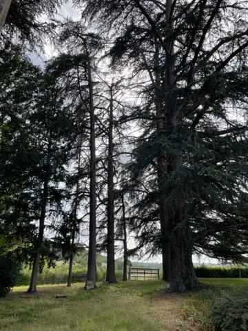 Maison bourgeoise à 20 mn d'Auch 315 m2, 6ha