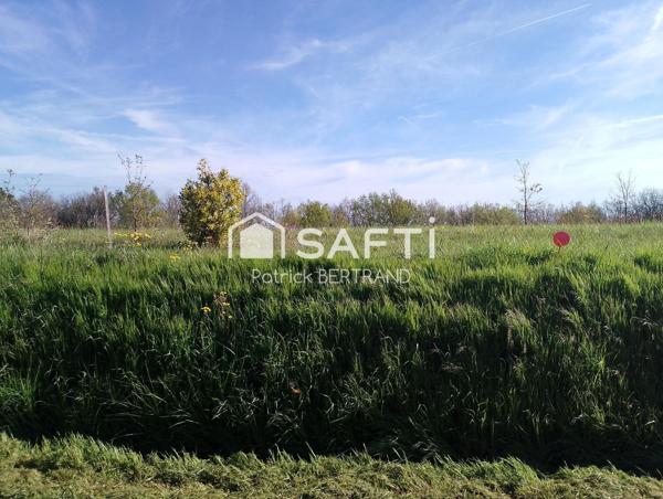 Au sein d'un secteur prisé