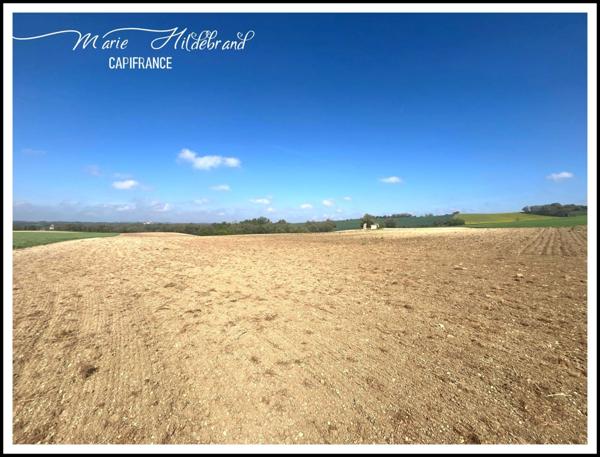 Propriété de standing au vert – Élégance et espace à la campagne – 390 m² habitables - terres agricoles