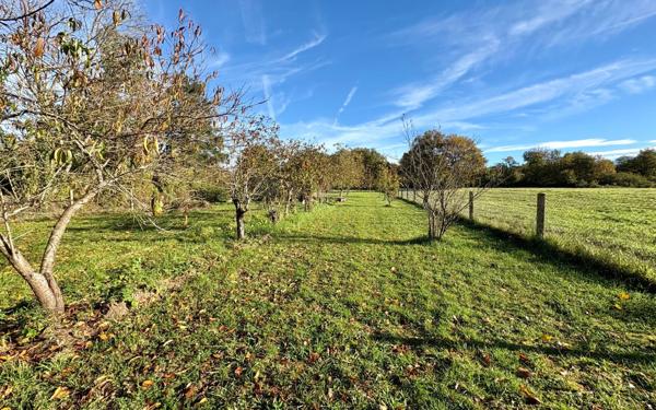 Terrain à vendre    Saulgé