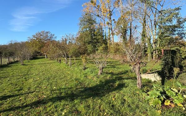 Terrain à vendre    Saulgé