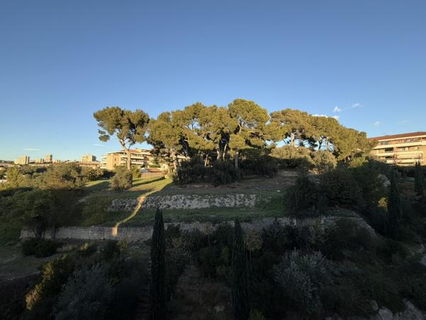 Appartement 2 pièces - 42 m² Exclusivité efficity