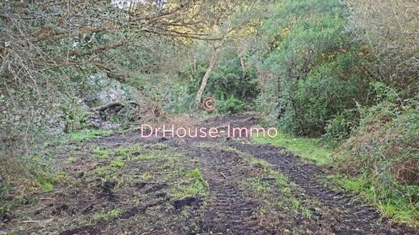 Terrain à vendre de 1 800 m²