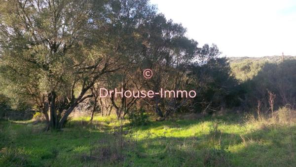 Terrain à vendre de 1 800 m²