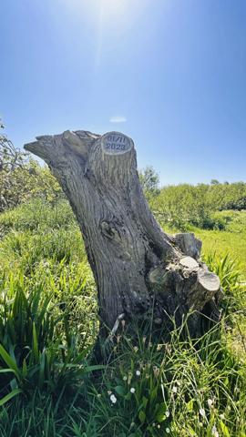 Charme et authenticité au cœur d’un site naturel exceptionnel