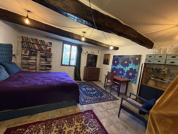 Maison Antugnac 14 pièce(s) 338 m2