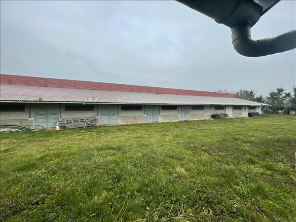 Parking à vendre |  Drevant |  | 1 350 m²
