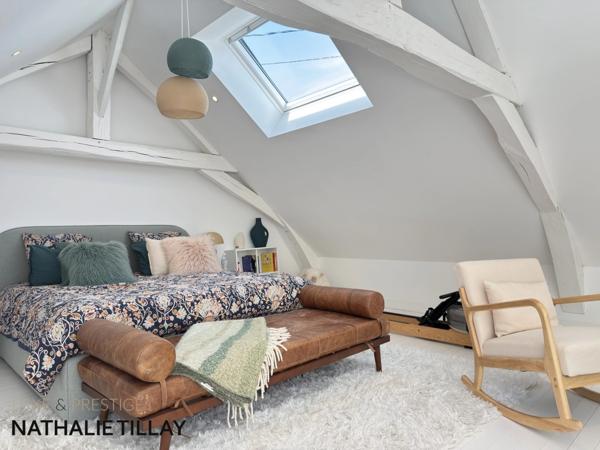 Propriété, Maison à vendre proche Orléans, 380 m² habitables, 450 m² au sol, LA CHAPELLE SAINT MESMIN