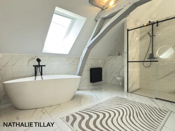 Propriété, Maison à vendre proche Orléans, 380 m² habitables, 450 m² au sol, LA CHAPELLE SAINT MESMIN