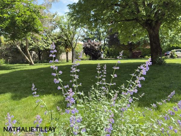 Propriété, Maison à vendre proche Orléans, 380 m² habitables, 450 m² au sol, LA CHAPELLE SAINT MESMIN