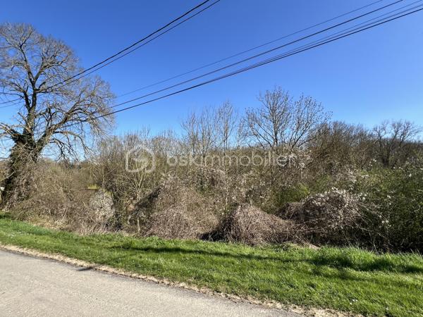 Terrain de 1 146 m²