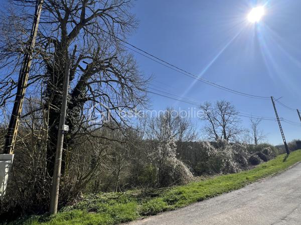 Terrain de 1 146 m²