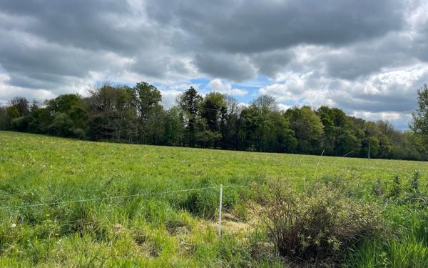 Maison à vendre    6 pièces •  Plouay