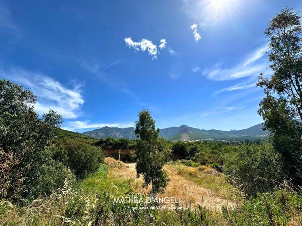 Rare en Balagne 2 620 m2 constructibles
