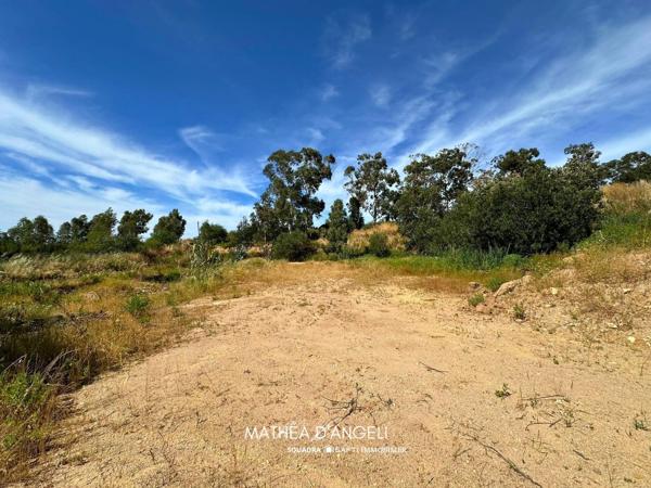 Rare en Balagne 2 620 m2 constructibles