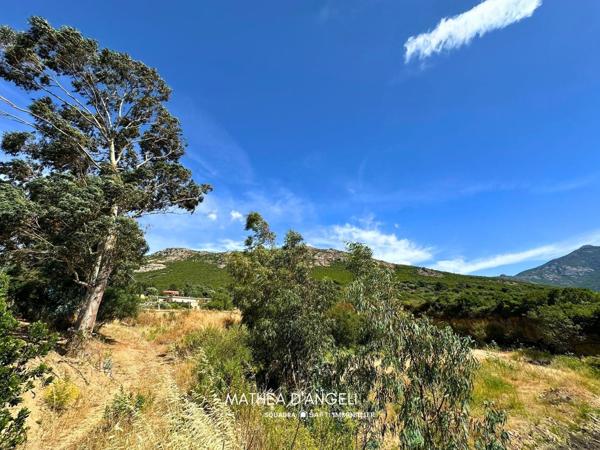 Rare en Balagne 2 620 m2 constructibles
