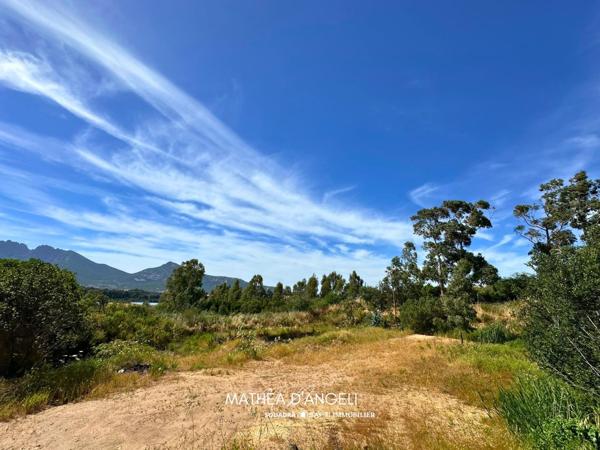 Rare en Balagne 2 620 m2 constructibles