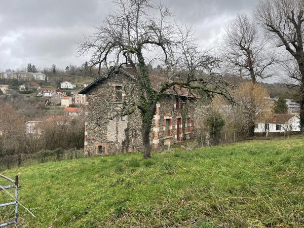 Maison en pierre sur grand terrain