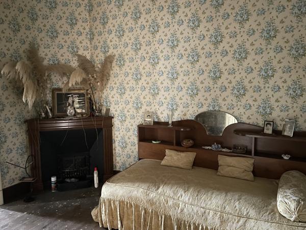 Maison en pierre sur grand terrain