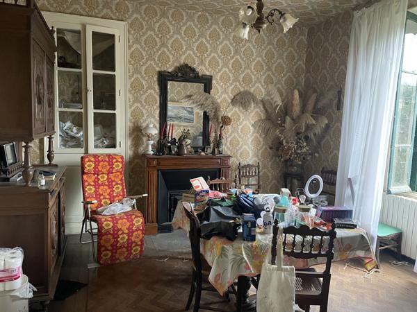 Maison en pierre sur grand terrain