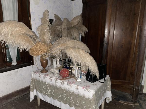 Maison en pierre sur grand terrain