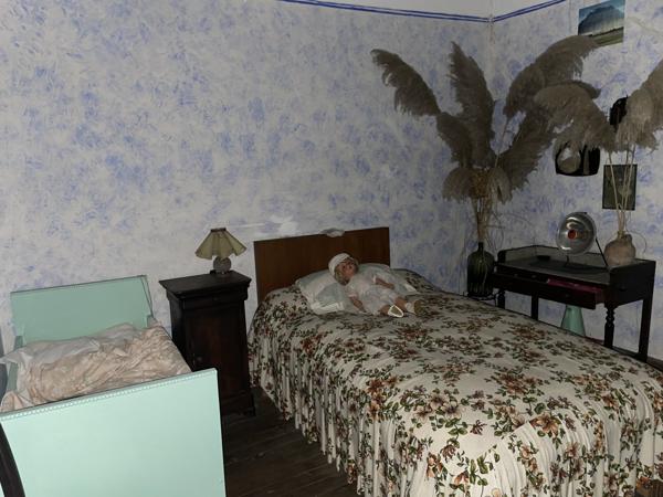 Maison en pierre sur grand terrain