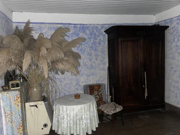 Maison en pierre sur grand terrain