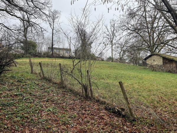 Maison en pierre sur grand terrain