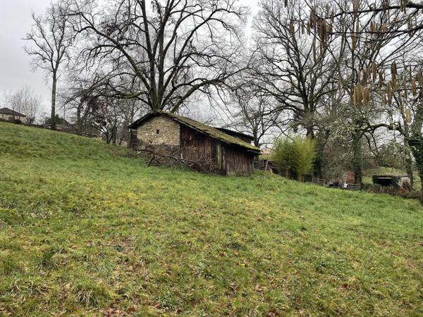 Maison en pierre sur grand terrain