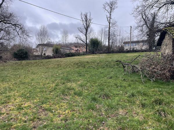 Maison en pierre sur grand terrain