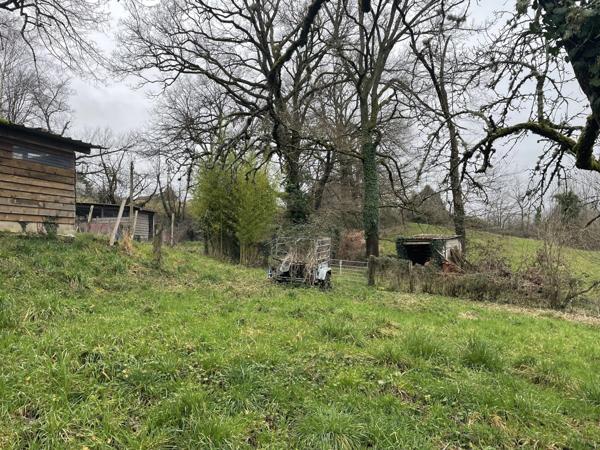 Maison en pierre sur grand terrain