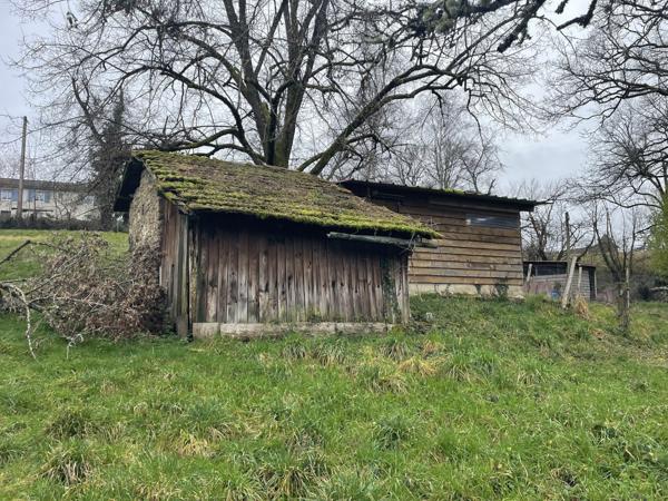 Maison en pierre sur grand terrain