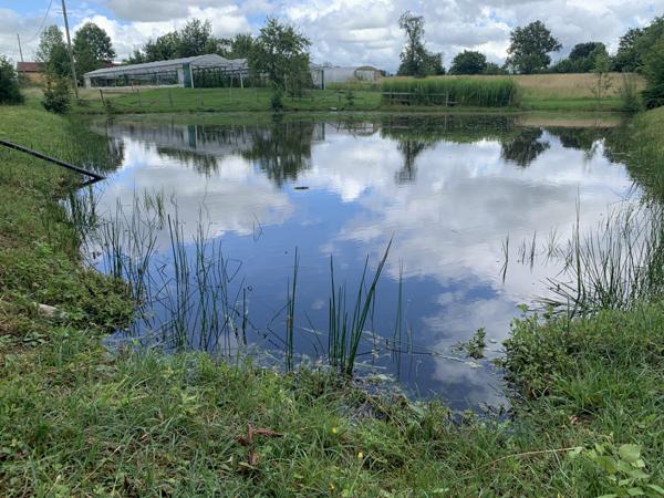 Charlieu (42190) Propriété sur 2 hectares libres