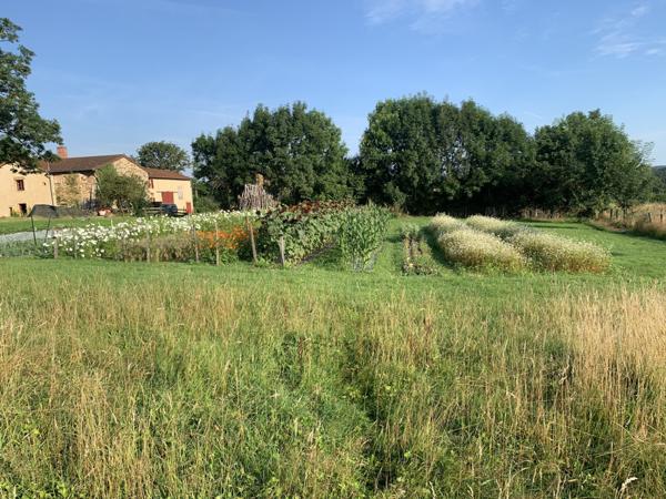 Charlieu (42190) Propriété sur 2 hectares libres
