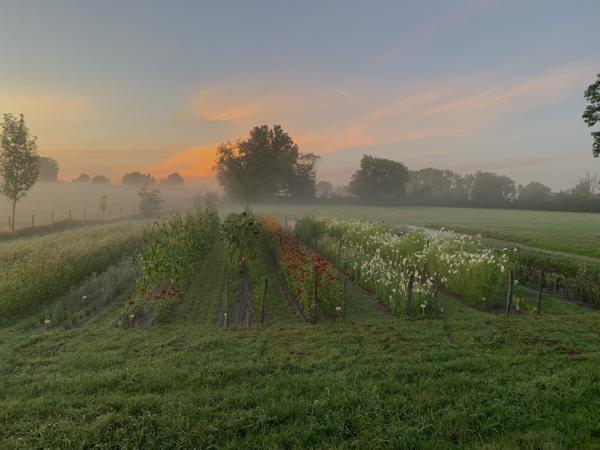 Charlieu (42190) Propriété sur 2 hectares libres