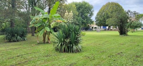 Maison ancienne Courcelles 185 m²