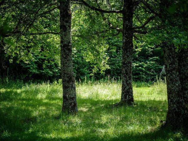 Dpt Creuse (23), à vendre Saint Vaury propriété de 35 pièces - Piscine - Terrain 1,10 ha