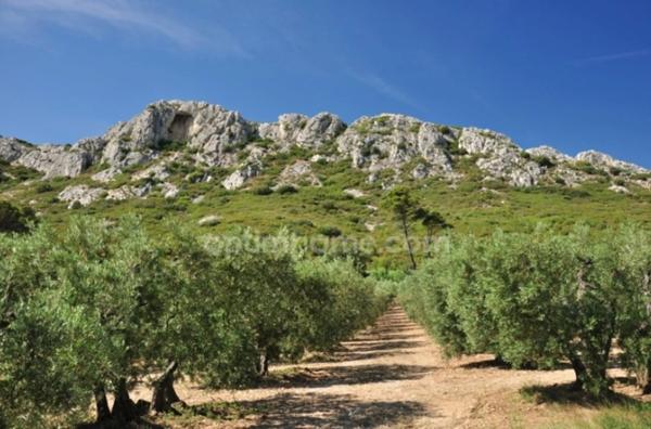 Local commercial / bail à ceder à SAINT REMY DE PROVENCE